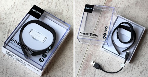 sony-swr-10