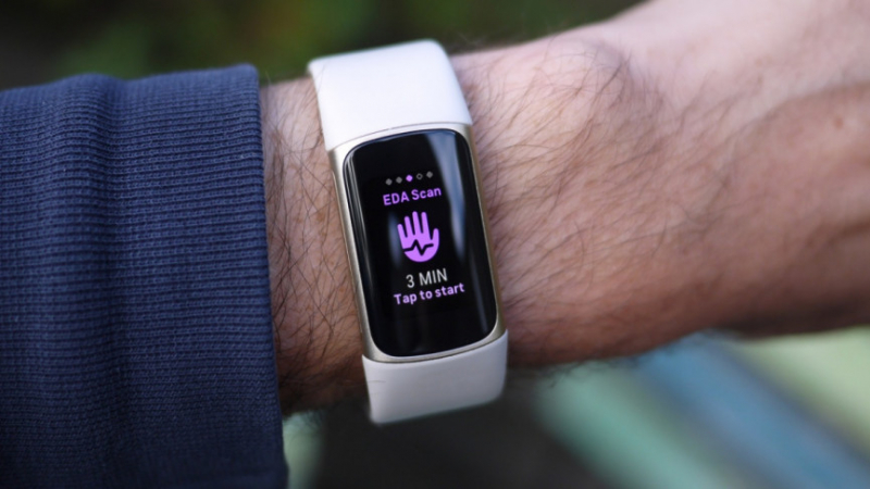 Советы, хитрости и скрытые функции Fitbit