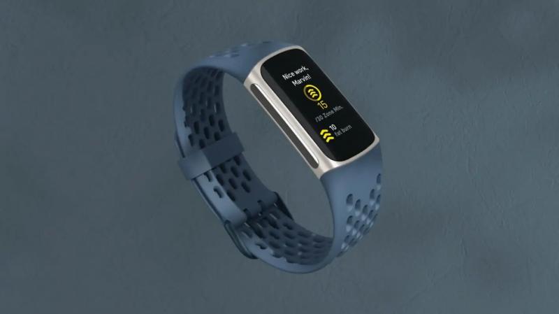 Fitbit: все, что вам нужно знать
